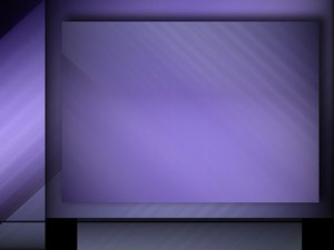 报关物流行业白皮书：数据与洞察